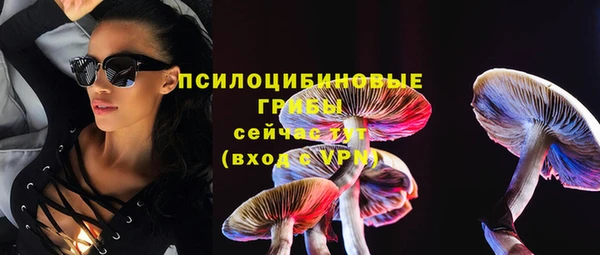 МДПВ Аркадак