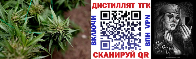 Дистиллят ТГК Wax  Нижняя Тура 